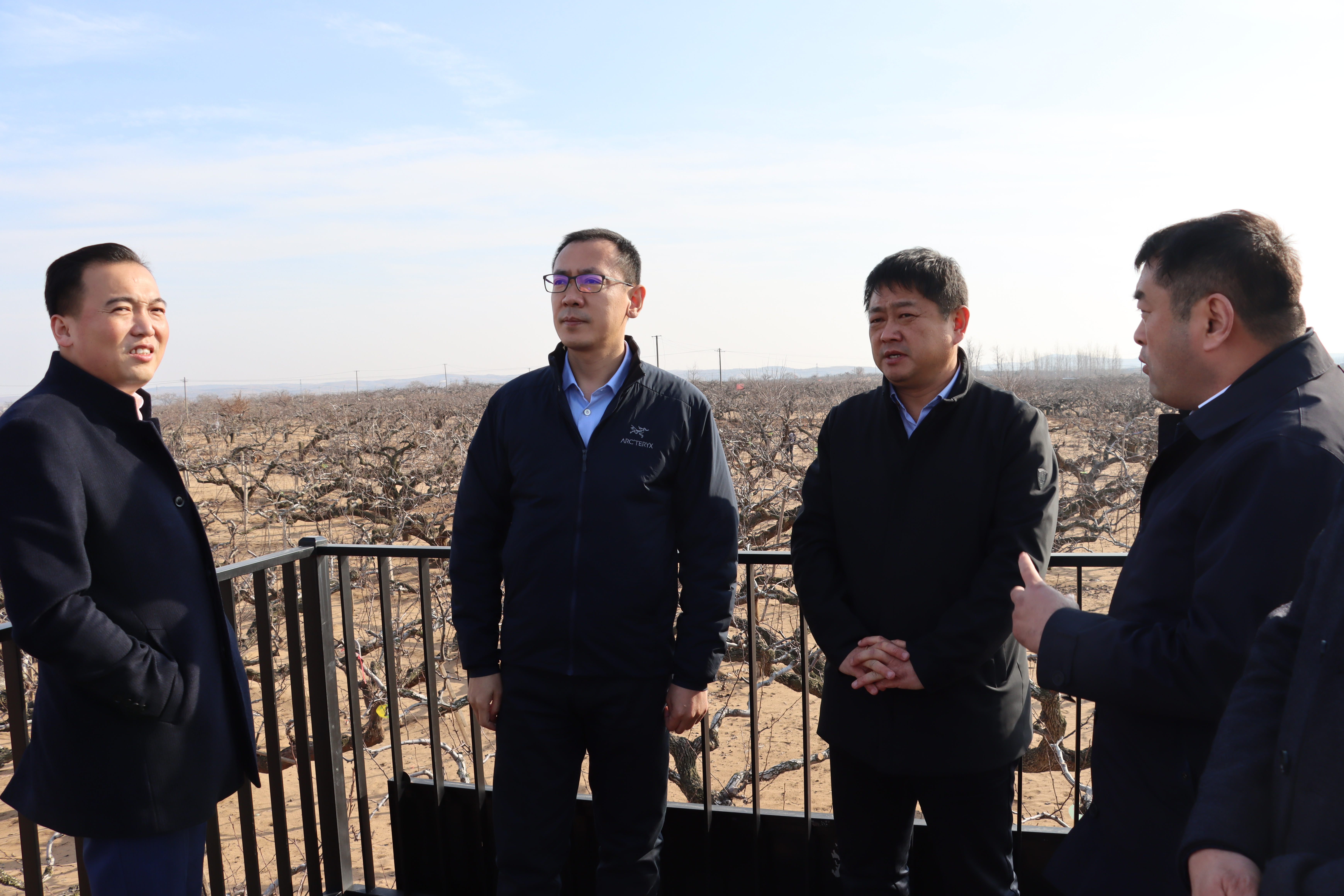 李冬在调研莱阳梨产业发展时强调:要加快推动莱阳梨产业高质量发展
