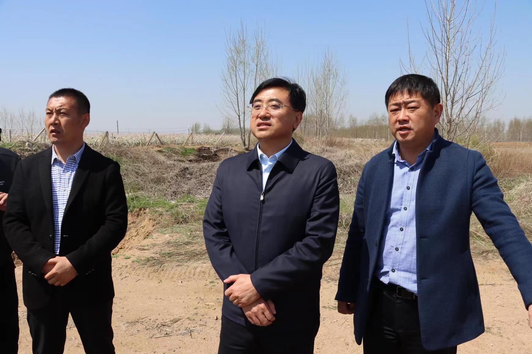 烟台市政府门户网站 莱阳市 李胜刚督导生态环保工作时强调:树牢生态
