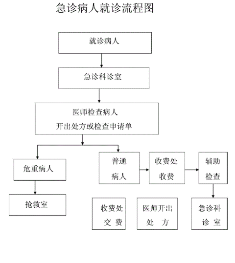 急诊就诊流程.png