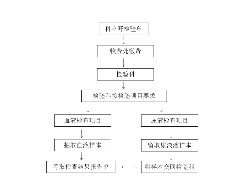 检验科检验流程_01.jpg