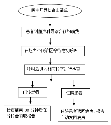 超声检查流程.png