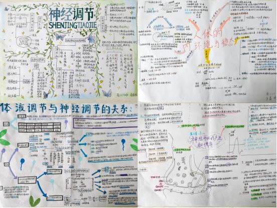 生物1.jpg 生物1.jpg