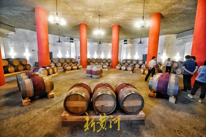 丘山谷葡萄酒养生休闲体验区
