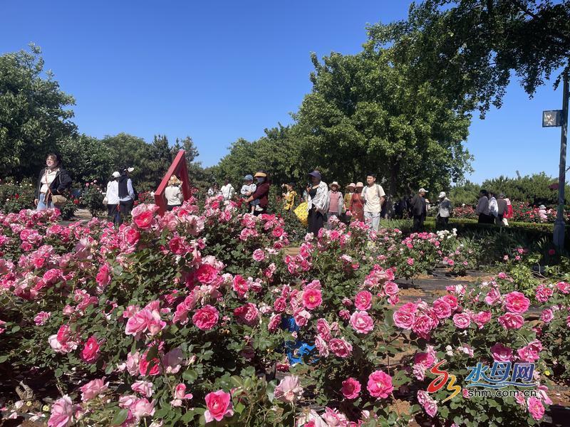 四季春女装批发市场图片