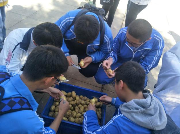 说明: 微信图片_20190505163722