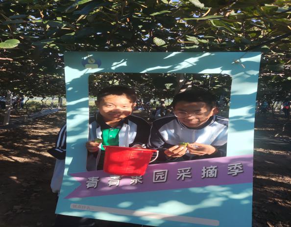 说明: MVIMG_20231016_152020_1