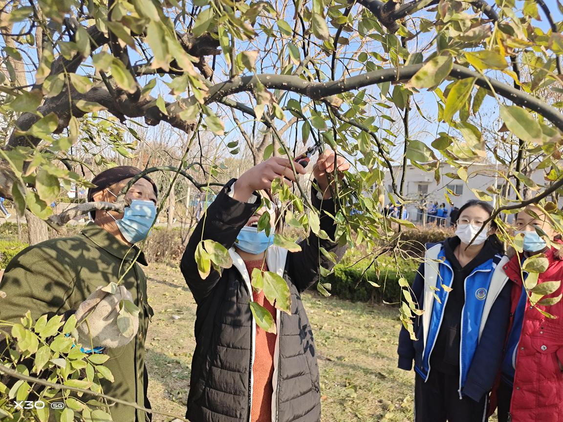 说明: IMG_20201207_100237