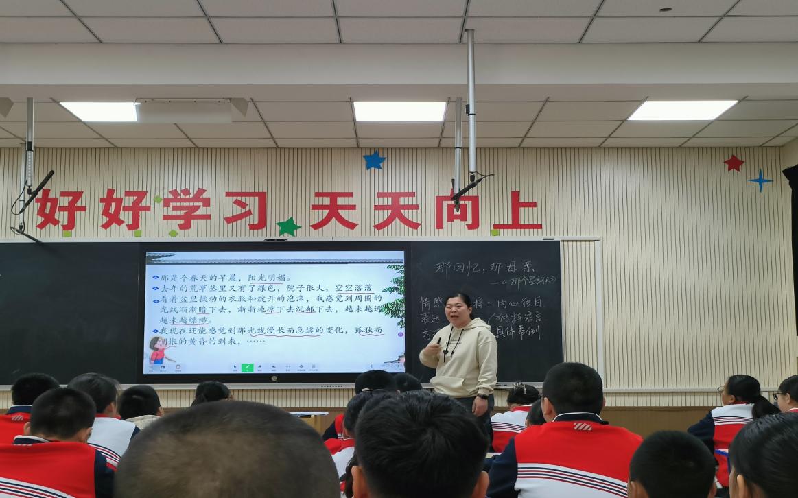 邢晶晶