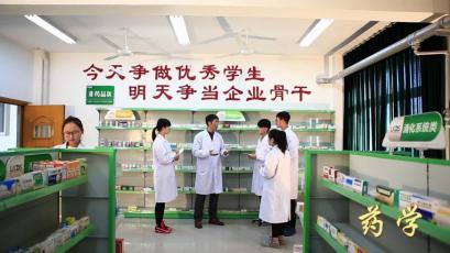 6模拟药店实践教学