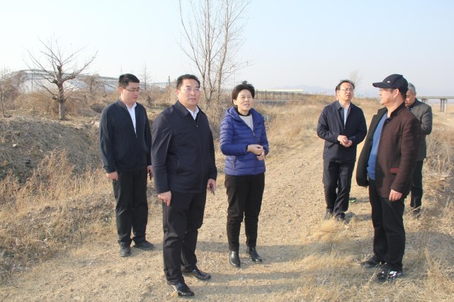 烟台市政府门户网站 会议活动 隋子林到大沽夹河巡查督导