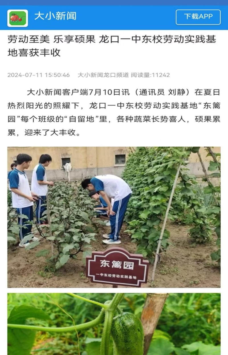 2023-2024劳动教育10.jpg